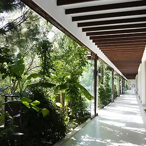 The Lifeco Bodrum Well-being Detox Center And Vegan (adults Only) Golturkbuku